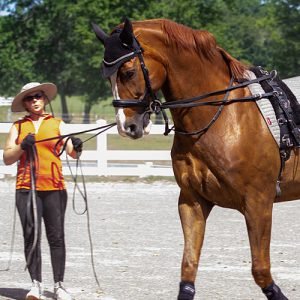 Roberson-Equestrian-Facility-Jessica-Wright-Horse-Training-Murfreesboro-tennessee