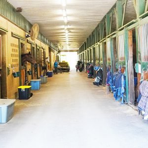 Roberson-Equestrian-Facility-horse-Barns-and-Stalls-murfreesboro-tn-Img-1(1)