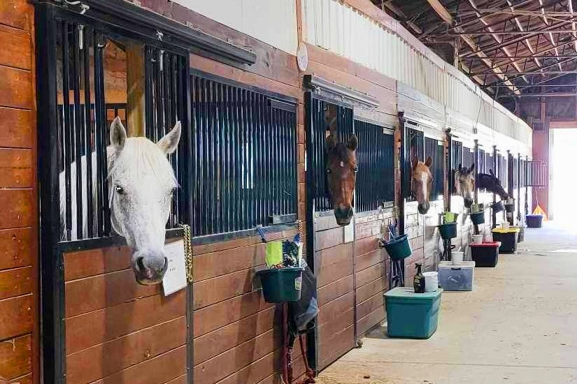 Services Roberson Equestrian Facility